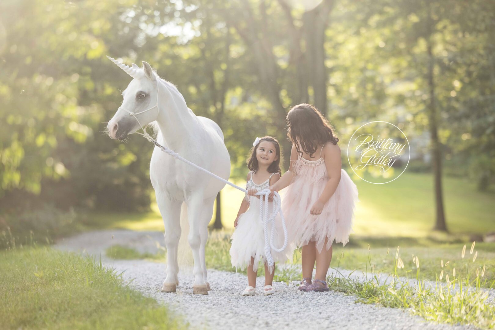 Unicorn Dream Session