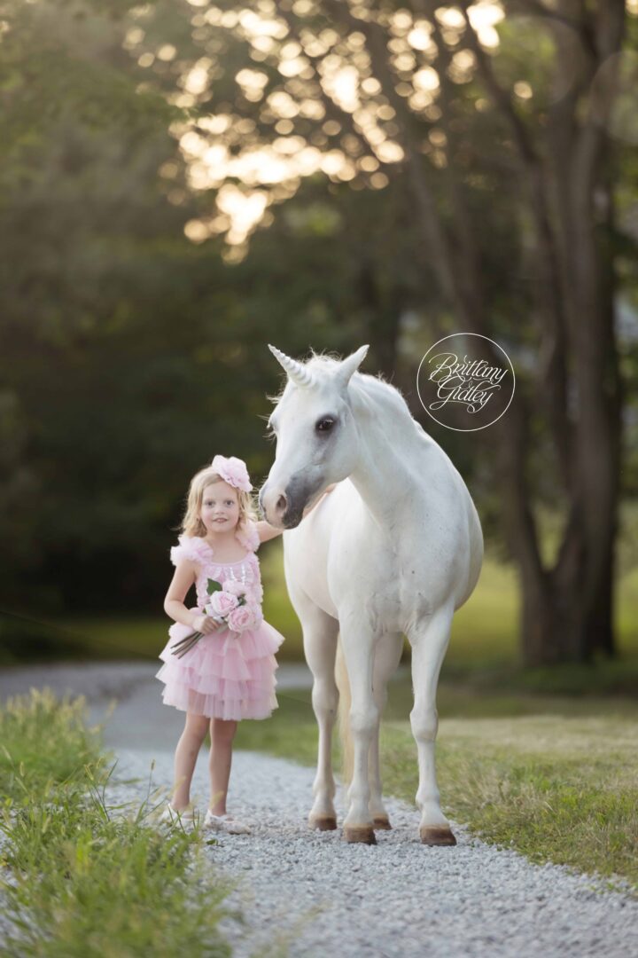 Unicorn Photo Shoot Cleveland Ohio