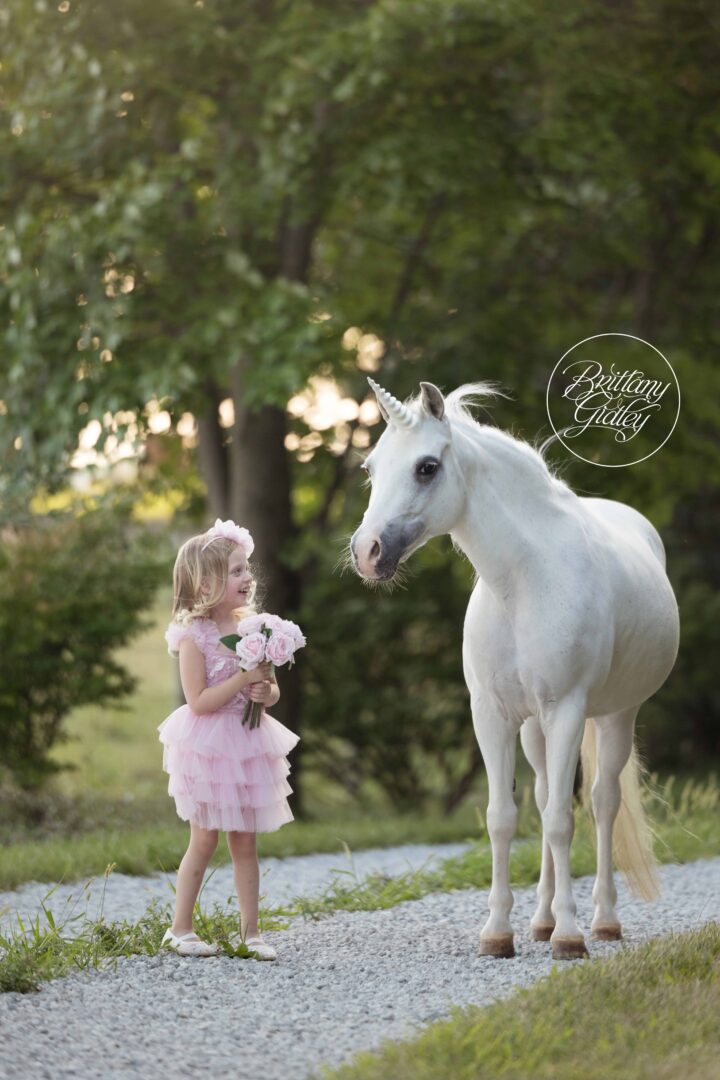 Unicorn Photo Shoot Cleveland