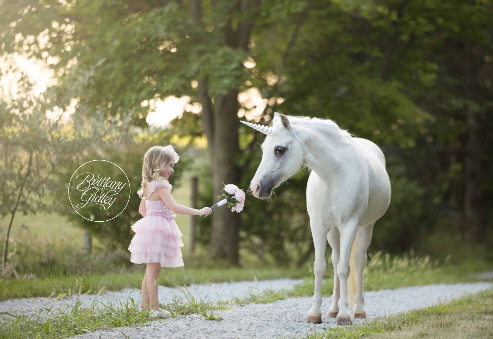 Unicorn Photography Cleveland Ohio