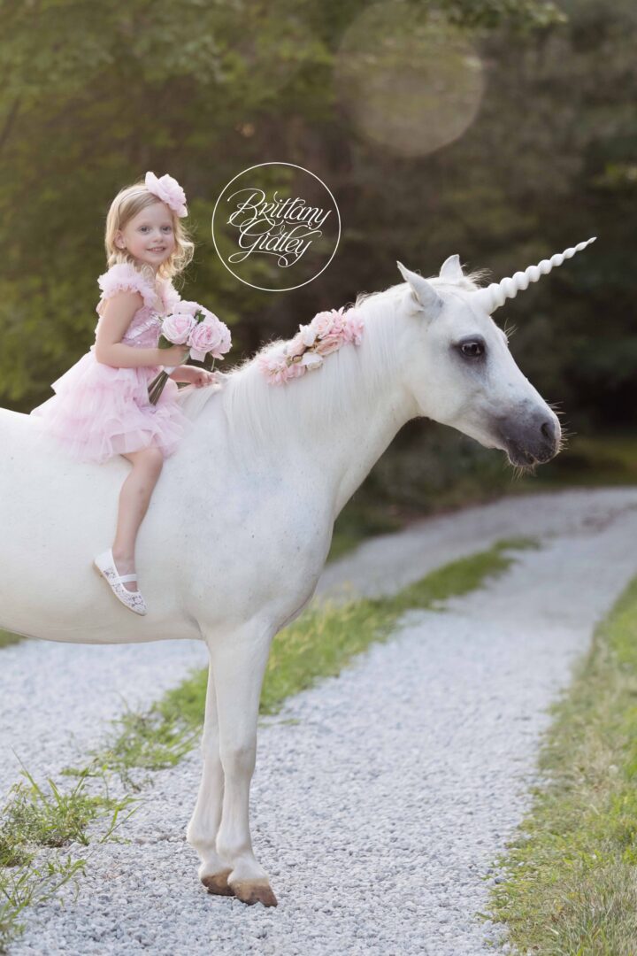 Unicorn Photos