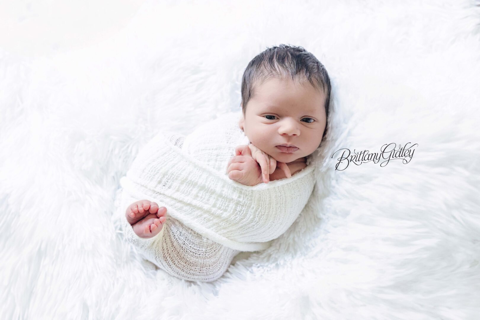 Newborn Baby Boy Photo Shoot In Home Cleveland Ohio
