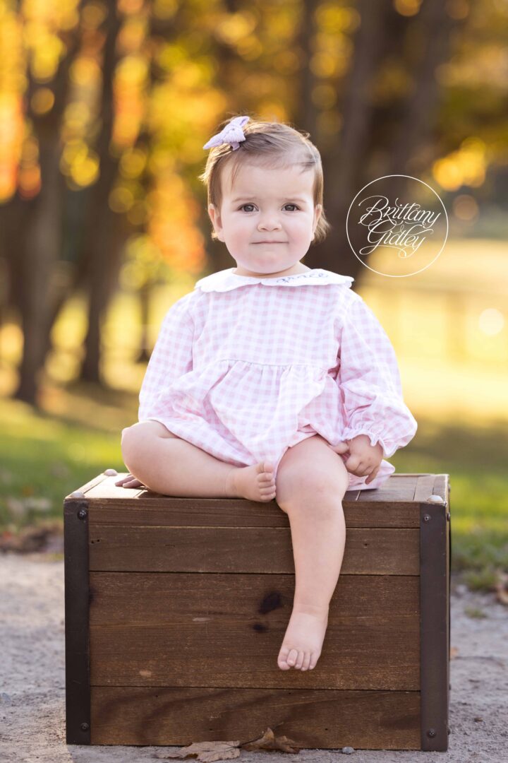 12 Month Photography