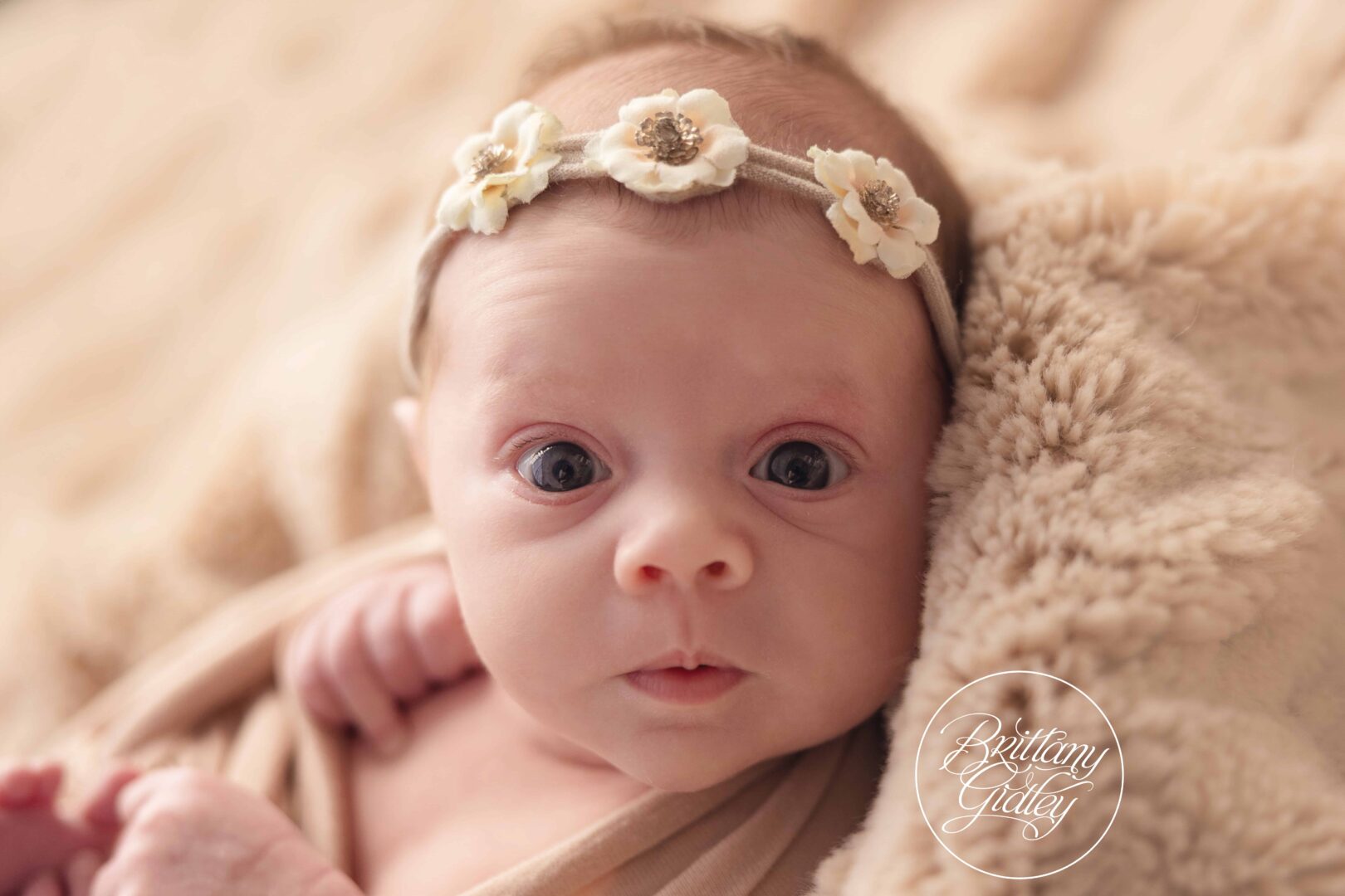 Cleveland Newborn Baby