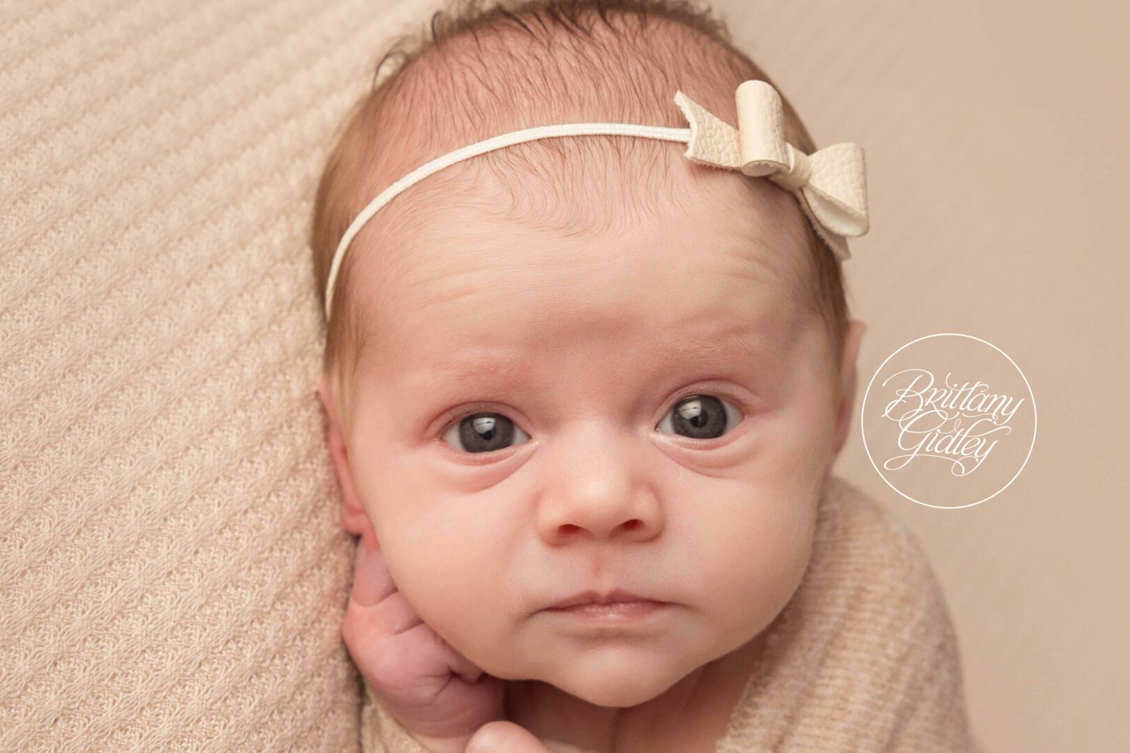 Newborn Photographer Cleveland