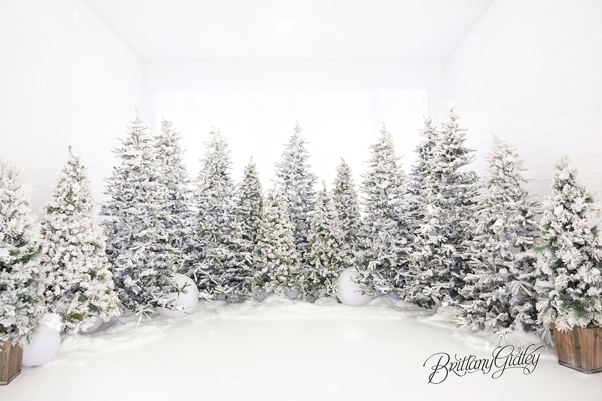 cleveland christmas photography