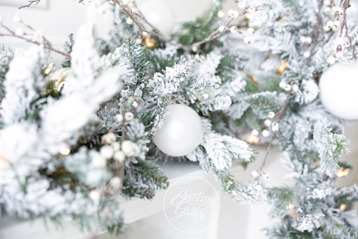 cleveland christmas holiday photography