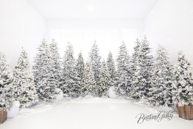 Walking In A Winter Wonderland