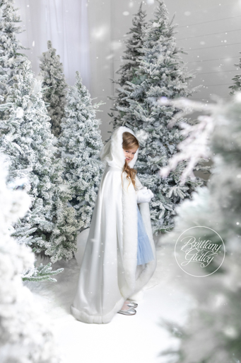 Holiday Photographer & Photography Studio Christmas Ohio
