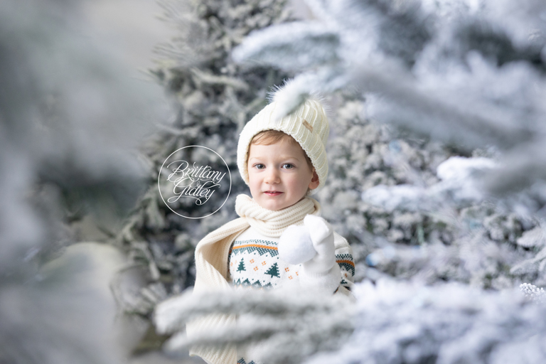 Holiday Photographer & Photography Studio Christmas Ohio