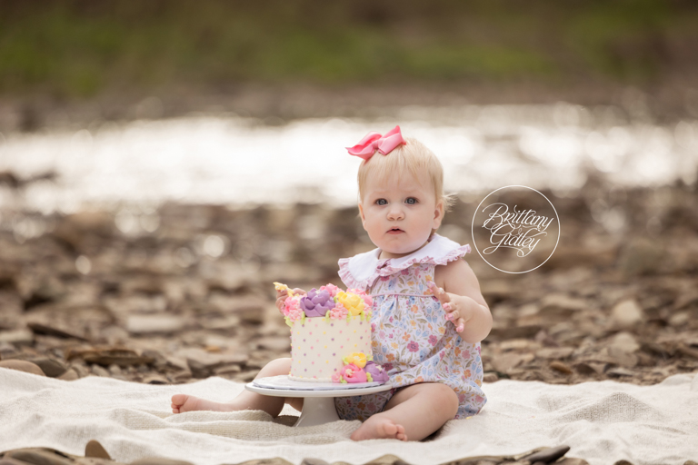 Brecksville Cake Smash Photographer