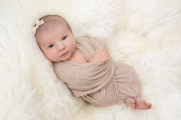 Ashtabula Newborn Photography