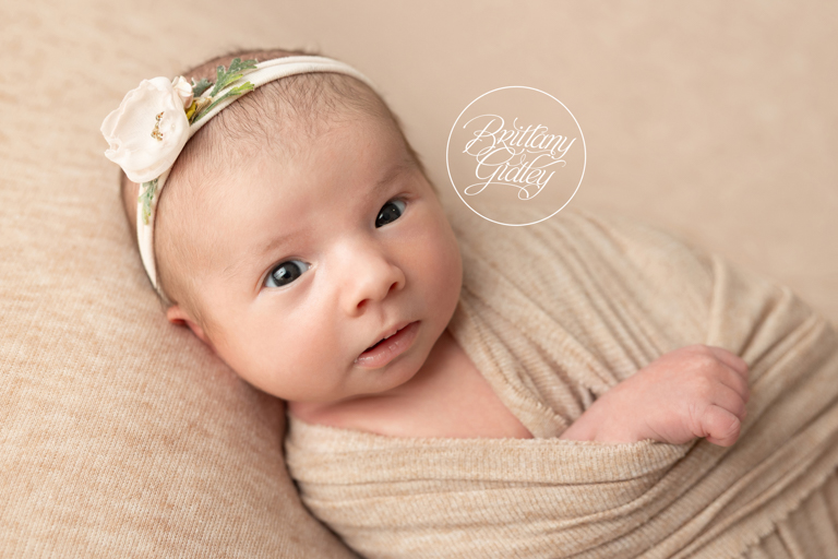 Newborn Baby Girl Photo Shoot in Ohio