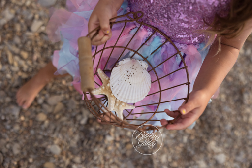 Erie PA Maternity Photography