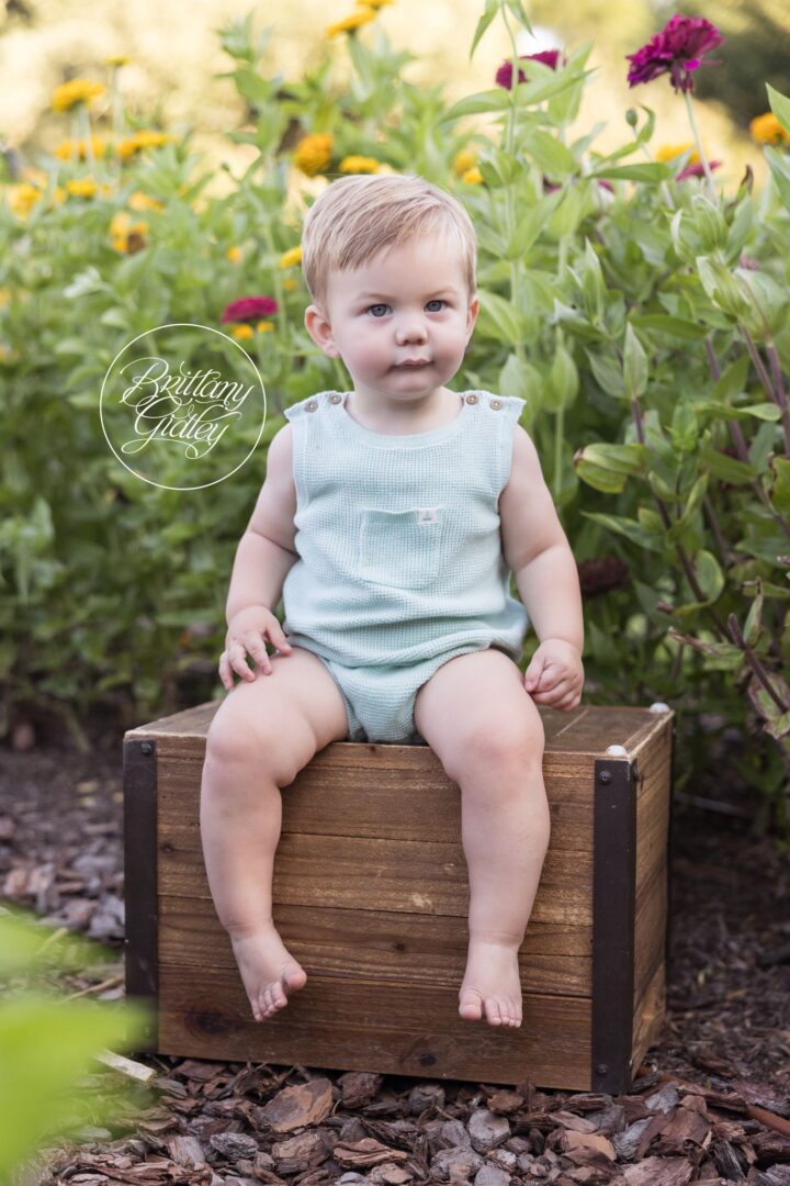 Baby boy sitting on a wooden crate among zinnias for his first birthday photos in Akron, Ohio