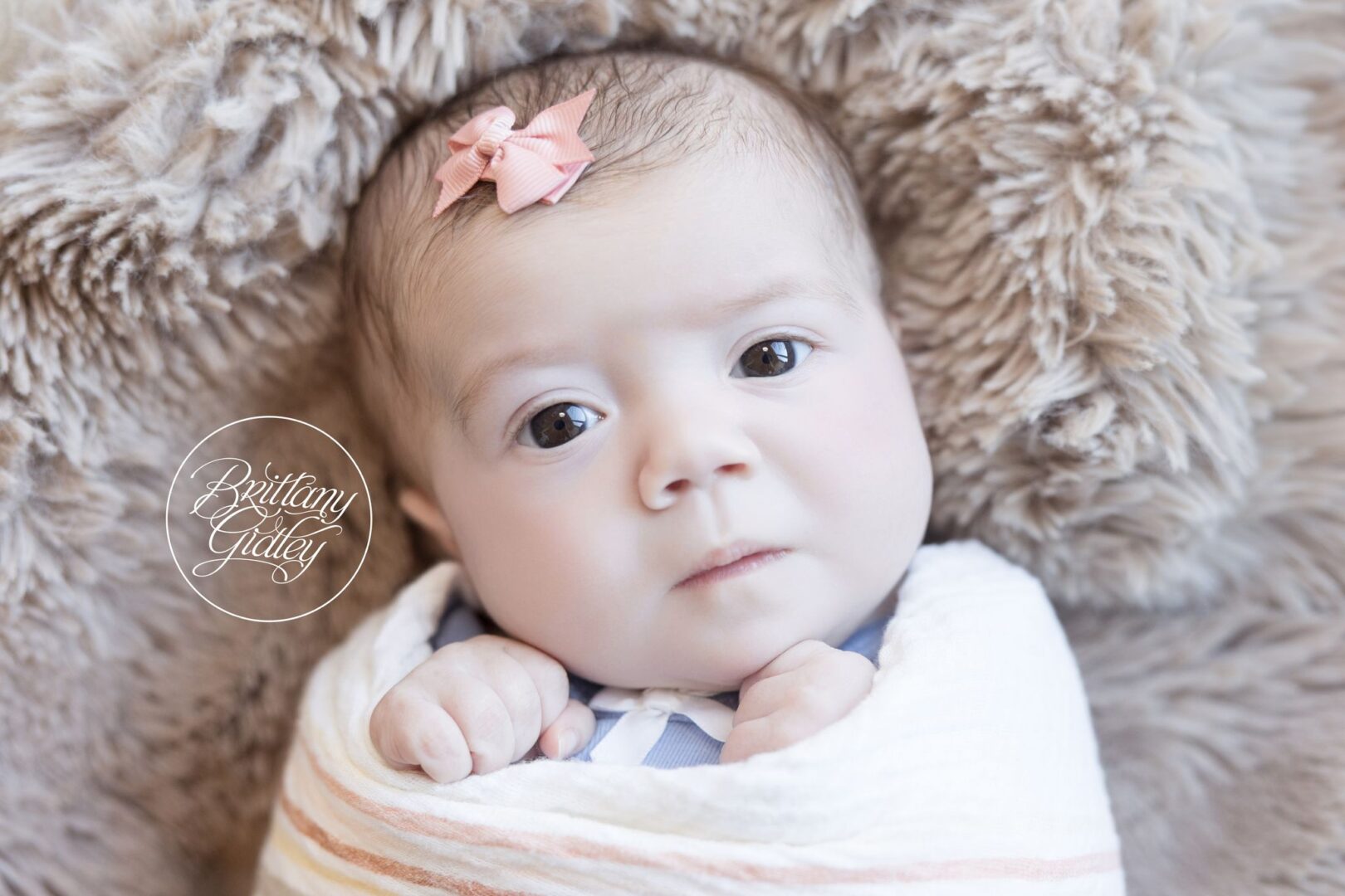 Scottie swaddled with her hands tucked up, staring into the camera