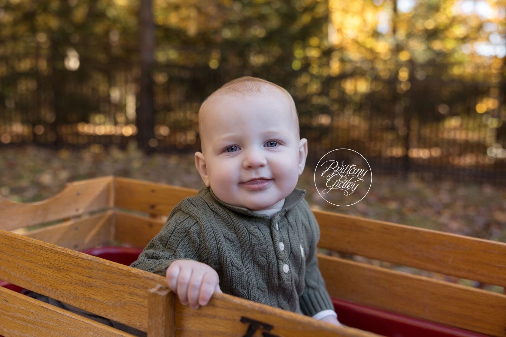 Baby Nolan peeking out of a red wagon in the backyard