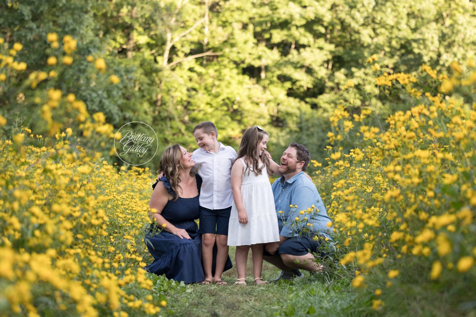 Family of four laughing together in a yellow wildflower field at Bay Field in Bay Village, Ohio