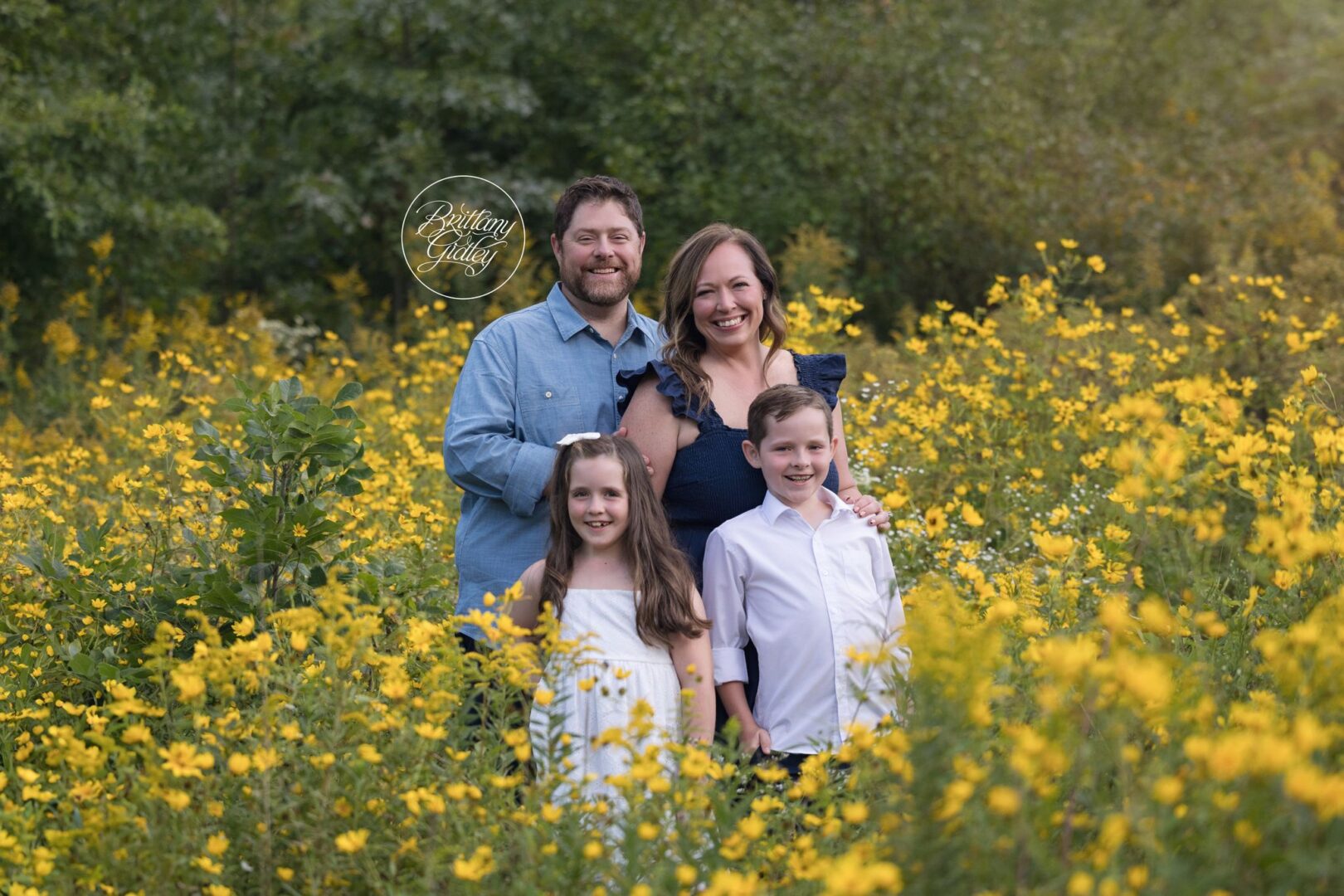 Mom, Dad, son and daughter smiling in a golden wildflower field, Avon Ohio family photographer