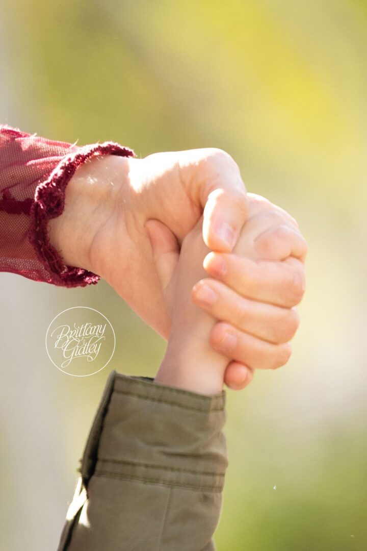 Close-up of a little hand holding Mom's hand during a fall family session