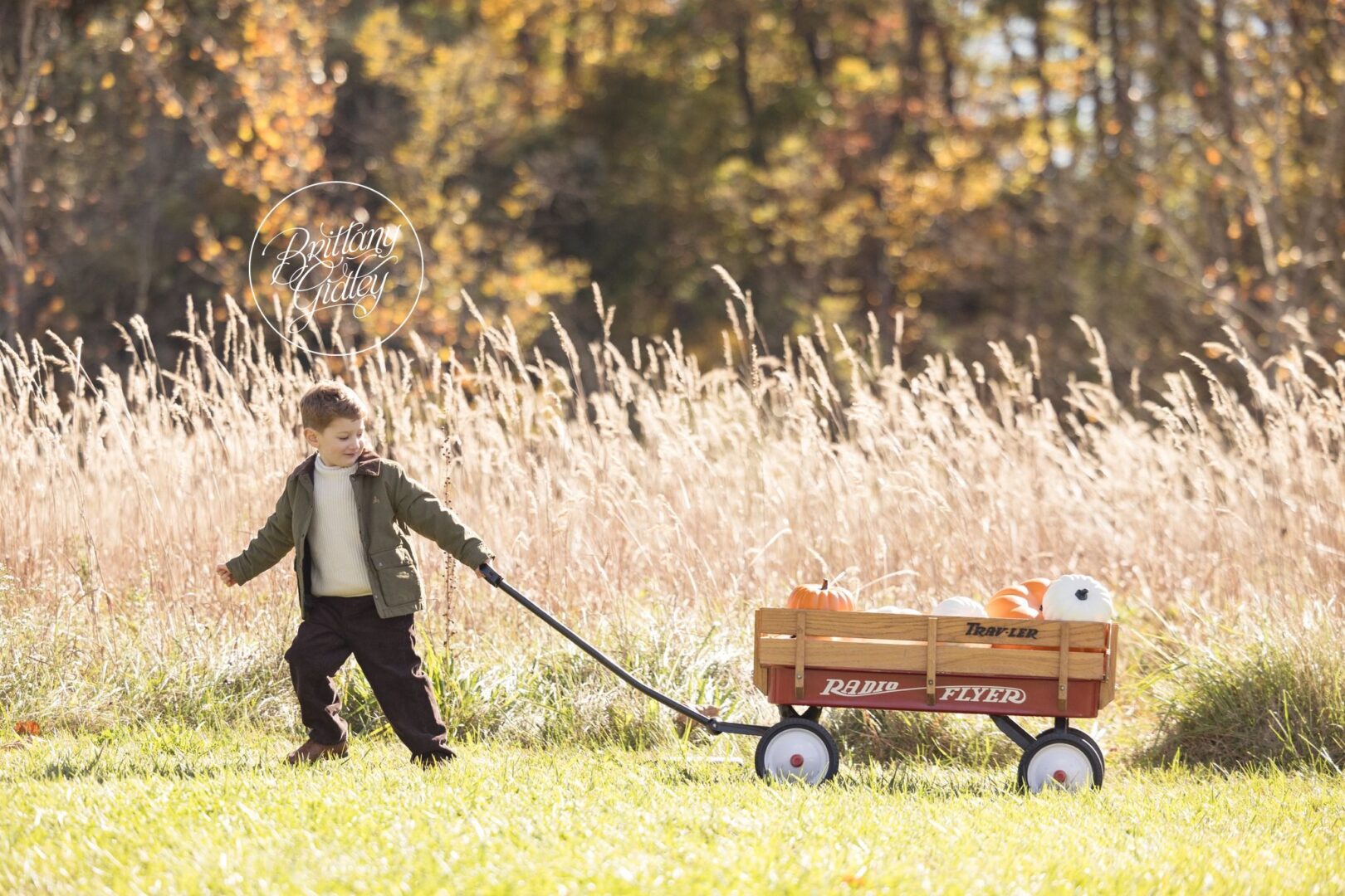 Little boy pulling a red wagon full of pumpkins through a fall field