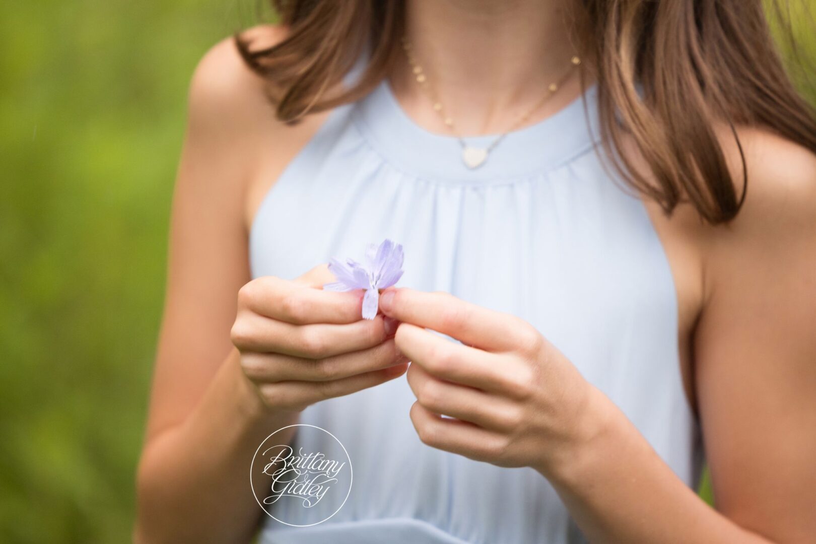 Close-up of hands holding a small purple wildflower during a family session